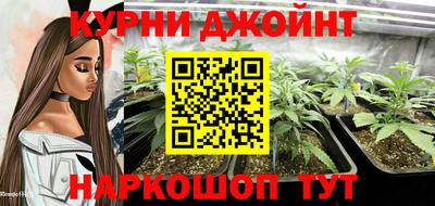 мдпв Новокубанск